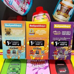 backpack boyz 2g disposable